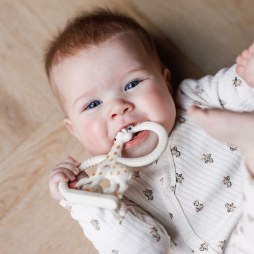 Baby speelgoed van duurzame en gerenommeerde merken, zoals Sophie de Giraf, Little Dutch, Grimm's, Mushie en Grapat bij Studio Bambacht