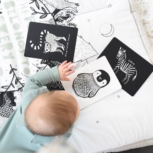 Zwart-wit contrast kaarten voor baby's van o.a. Wee Gallery