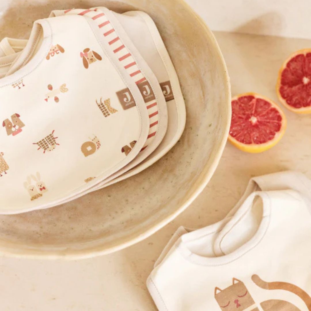 Jollein slabben set 5 stuks Animal Friends