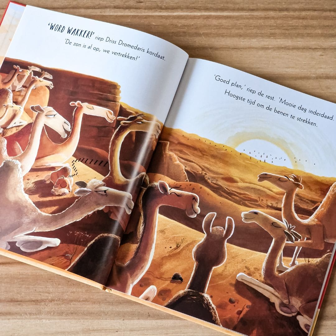 Prentenboek Lars de dwarse dromedaris van Rachel Bright en Jim Field door uitgeverij Gottmer