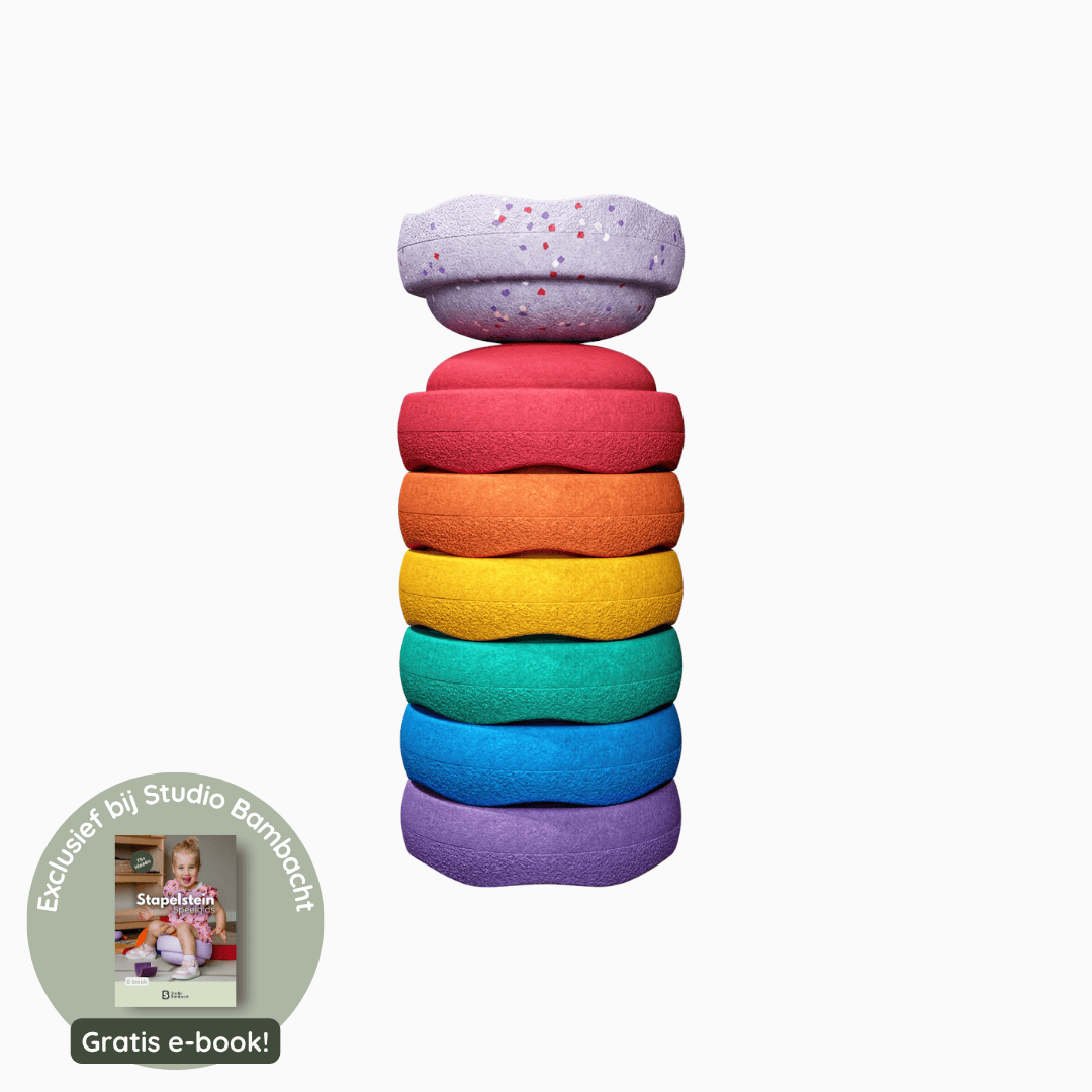 stapelstein mini stenen regenboog winter special met mini violet confetti steen