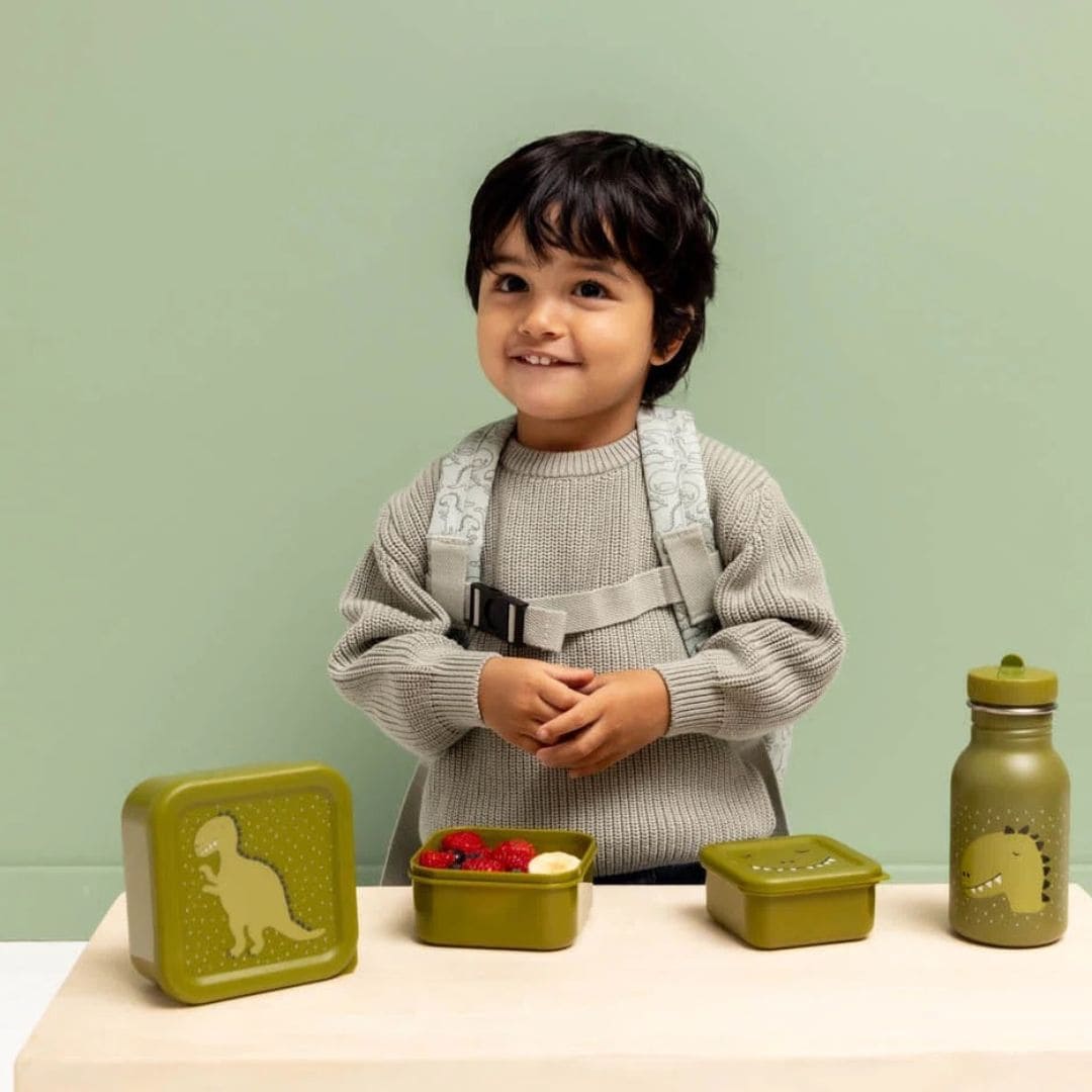 Trixie snackdoosjes set 3-delig uit de collectie Mr. Dino