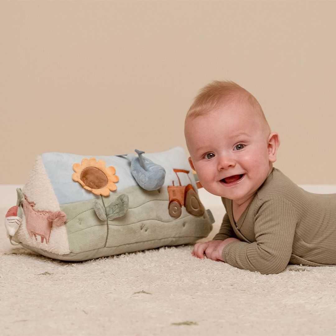 Little Dutch activiteiten driehoek little farm