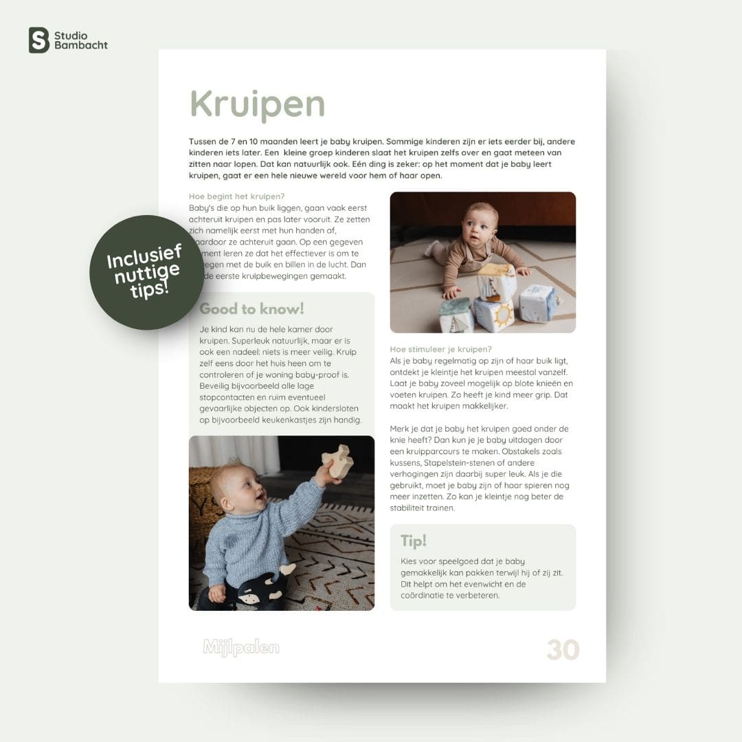 Bladzijde uit de babyspeelgids als e-book