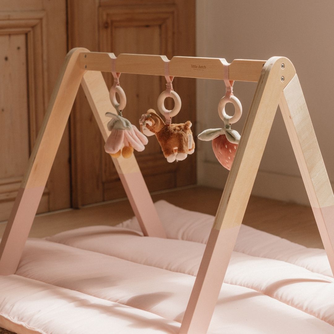Little Dutch babygym Fairy Garden