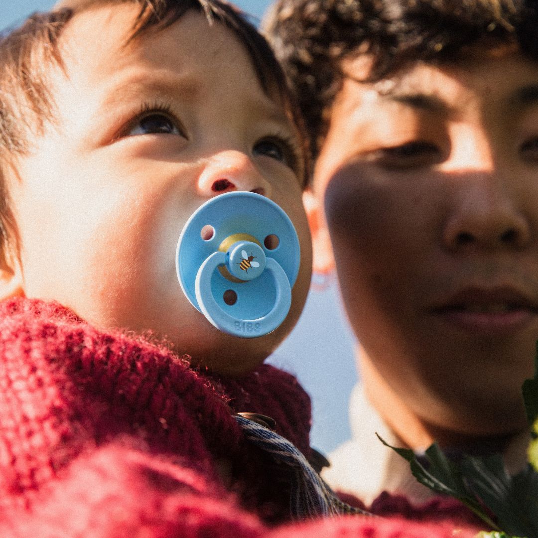 BIBS speen met bijen breeze mix