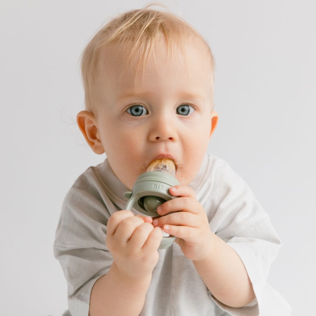 BIBS baby feeder fruitspeen van siliconen in de groene kleur sage