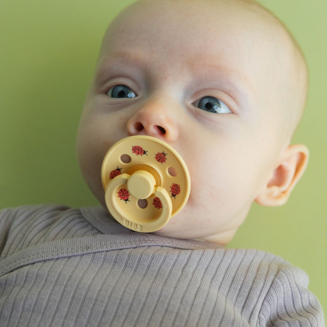 BIBS Studio speen met lieveheersbeestjes sage mix