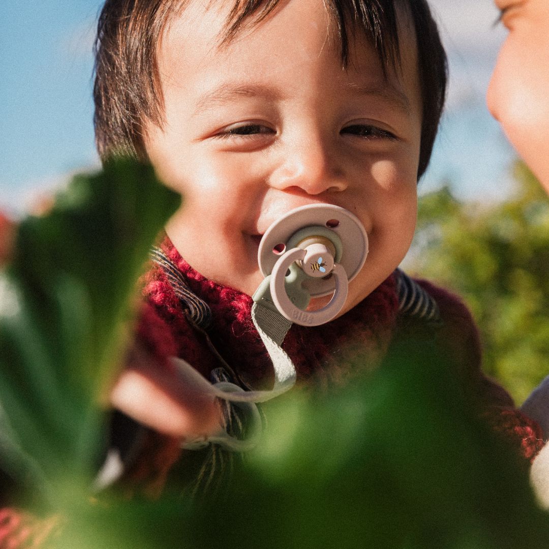 BIBS Studio speen met bijtjes mushroom mix