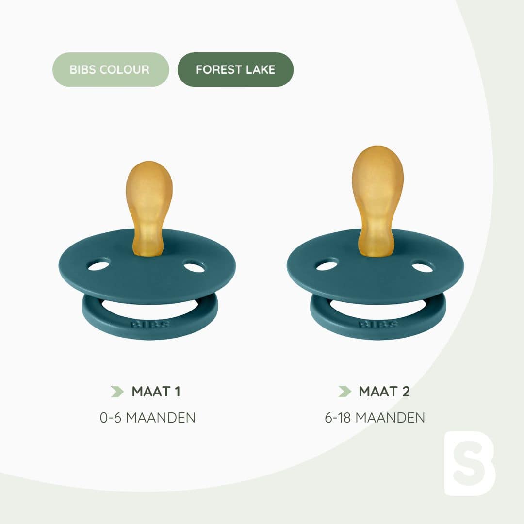 BIBS Colour symmetrische speen in de kleur forest lake