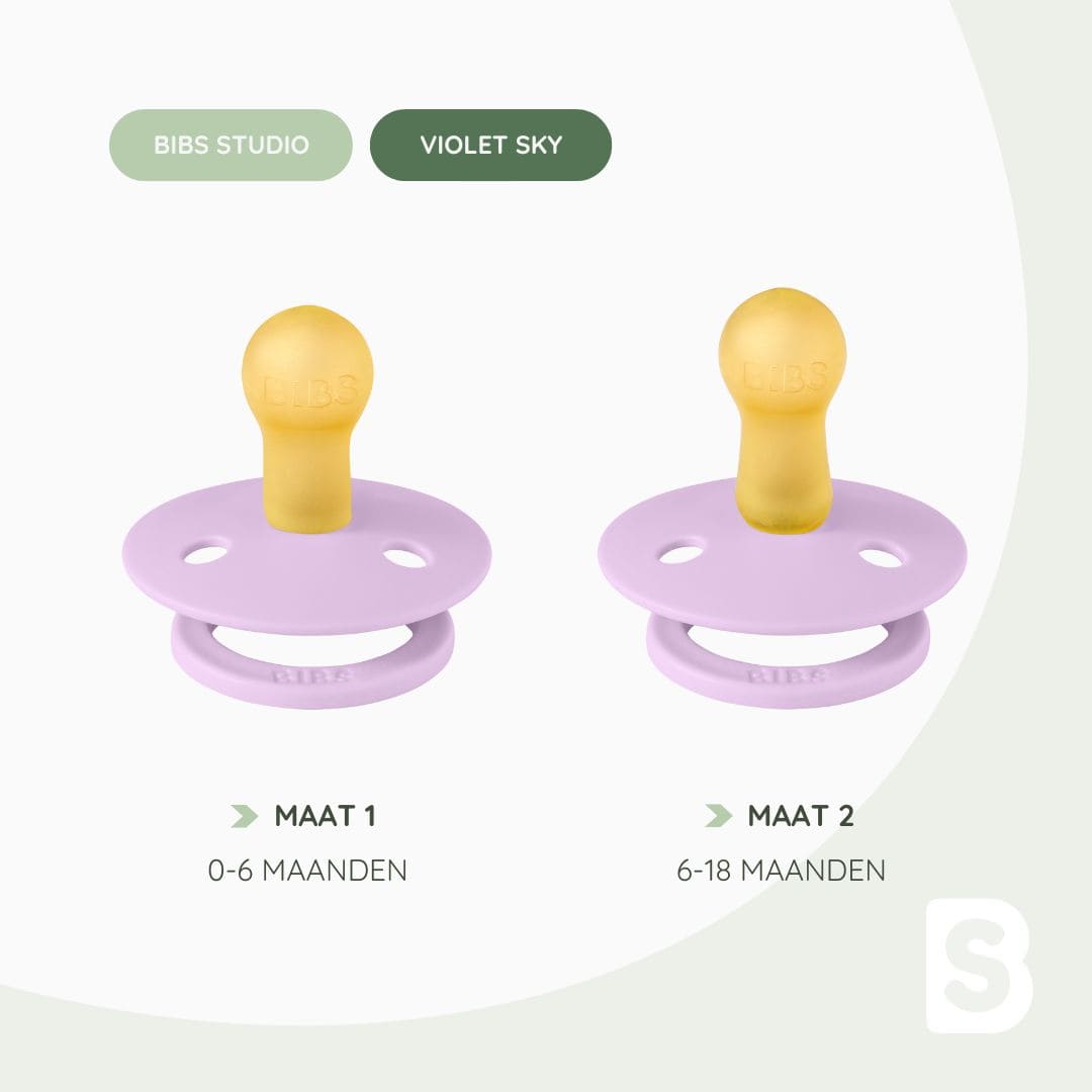 BIBS speen met lieveheersbeestjes violet sky mix