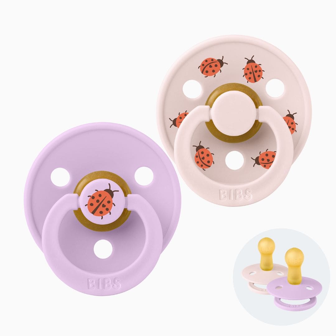 BIBS speen met lieveheersbeestjes violet sky mix