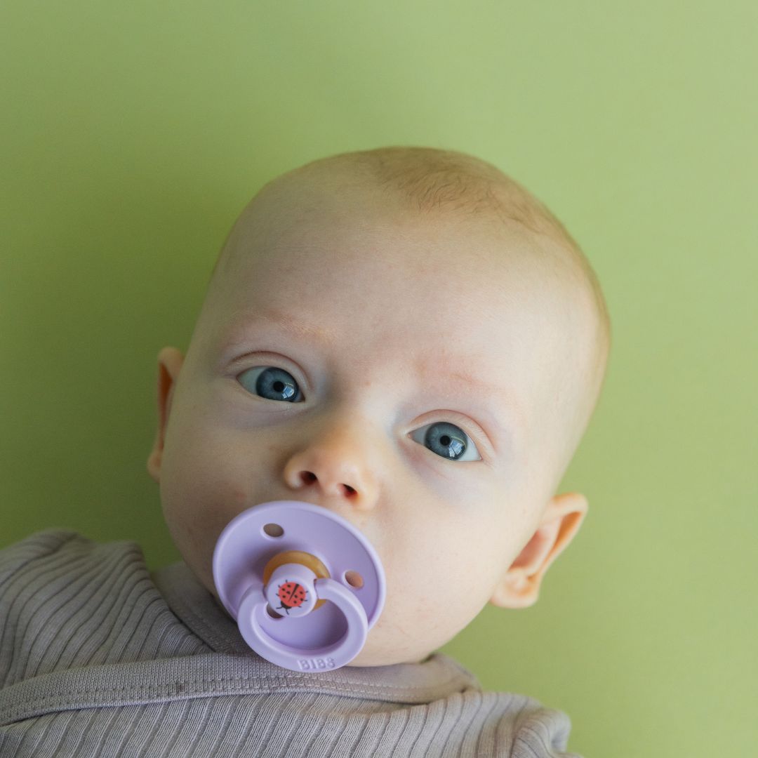 BIBS speen met lieveheersbeestjes violet sky mix