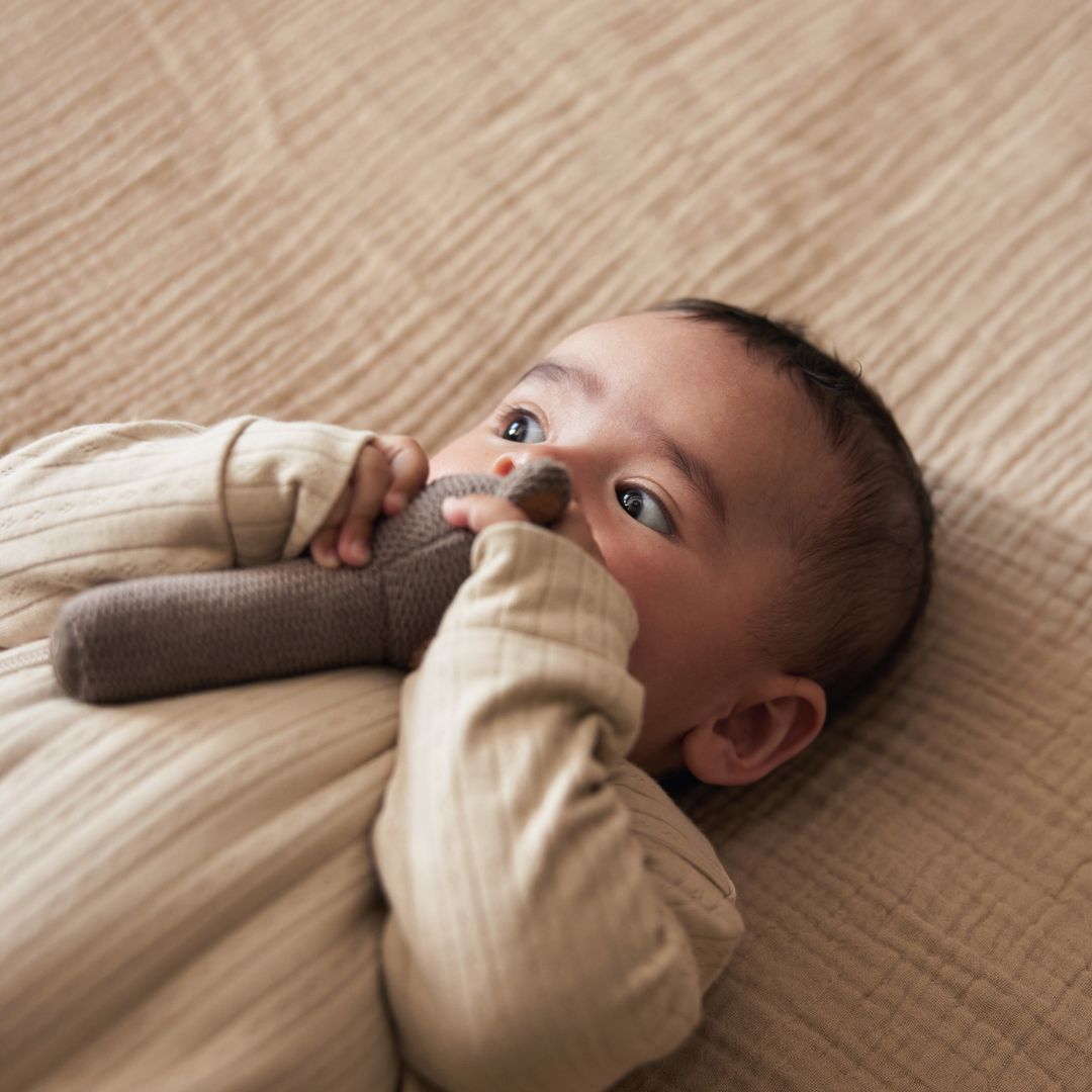 Jollein rammelaar beer