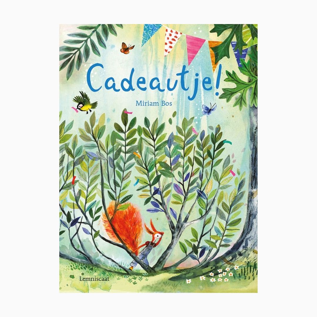 Prentenboek Cadeautje van Miriam Bos