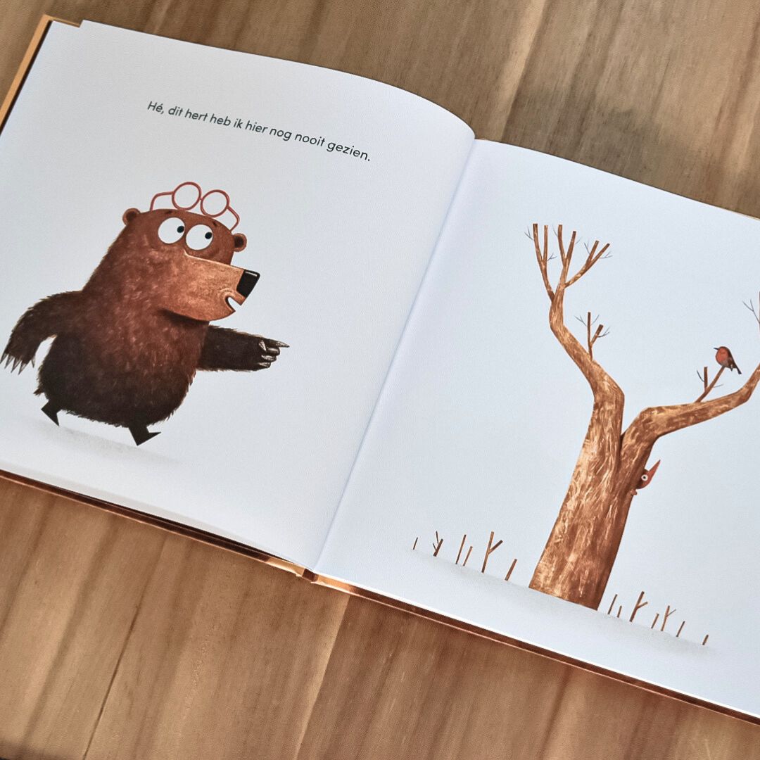 De bril van Beer prentenboek