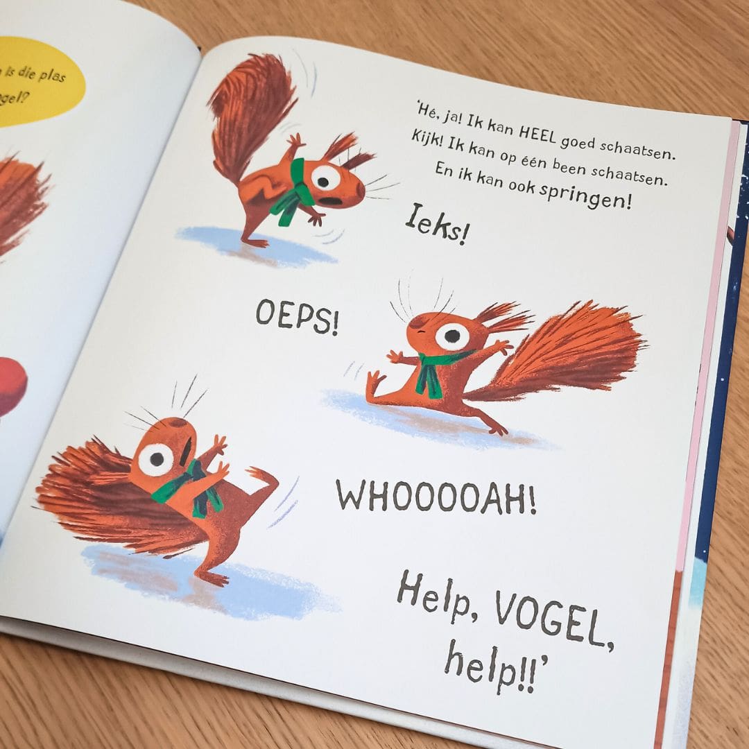 De sneeuwdief prentenboek