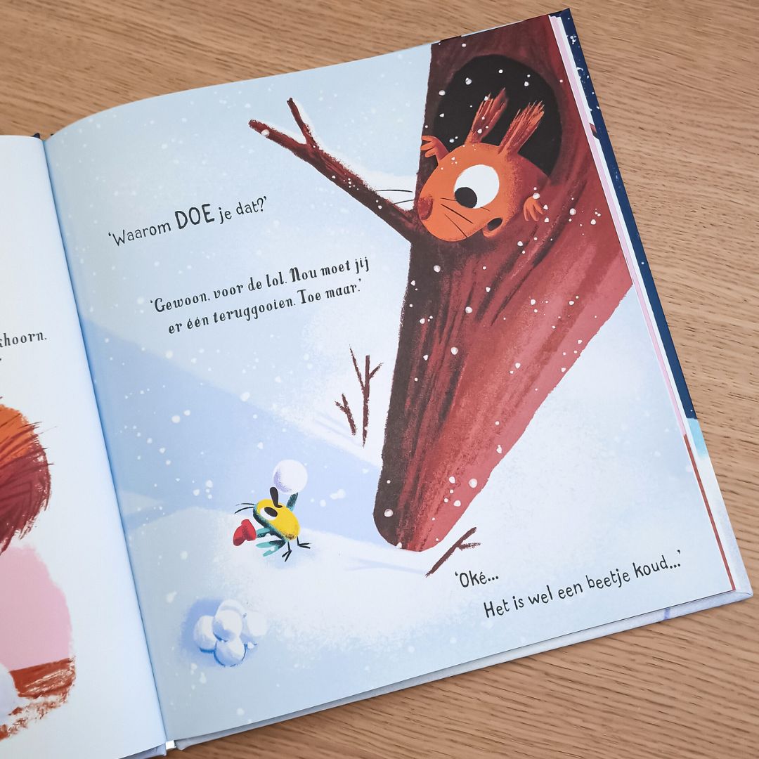 Kinderboek De sneeuwdief