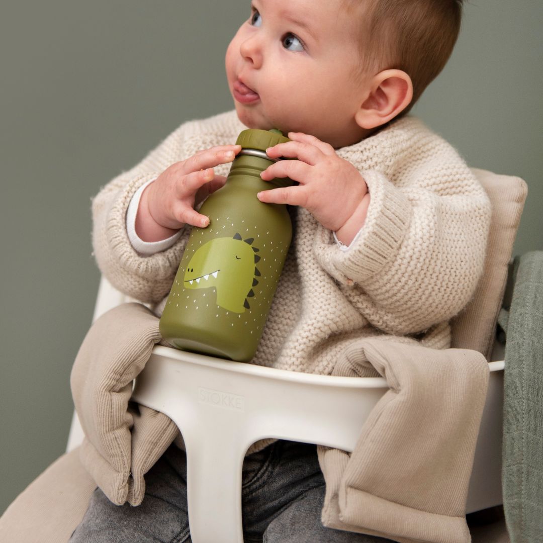 Trixie drinkfles dinosaurus