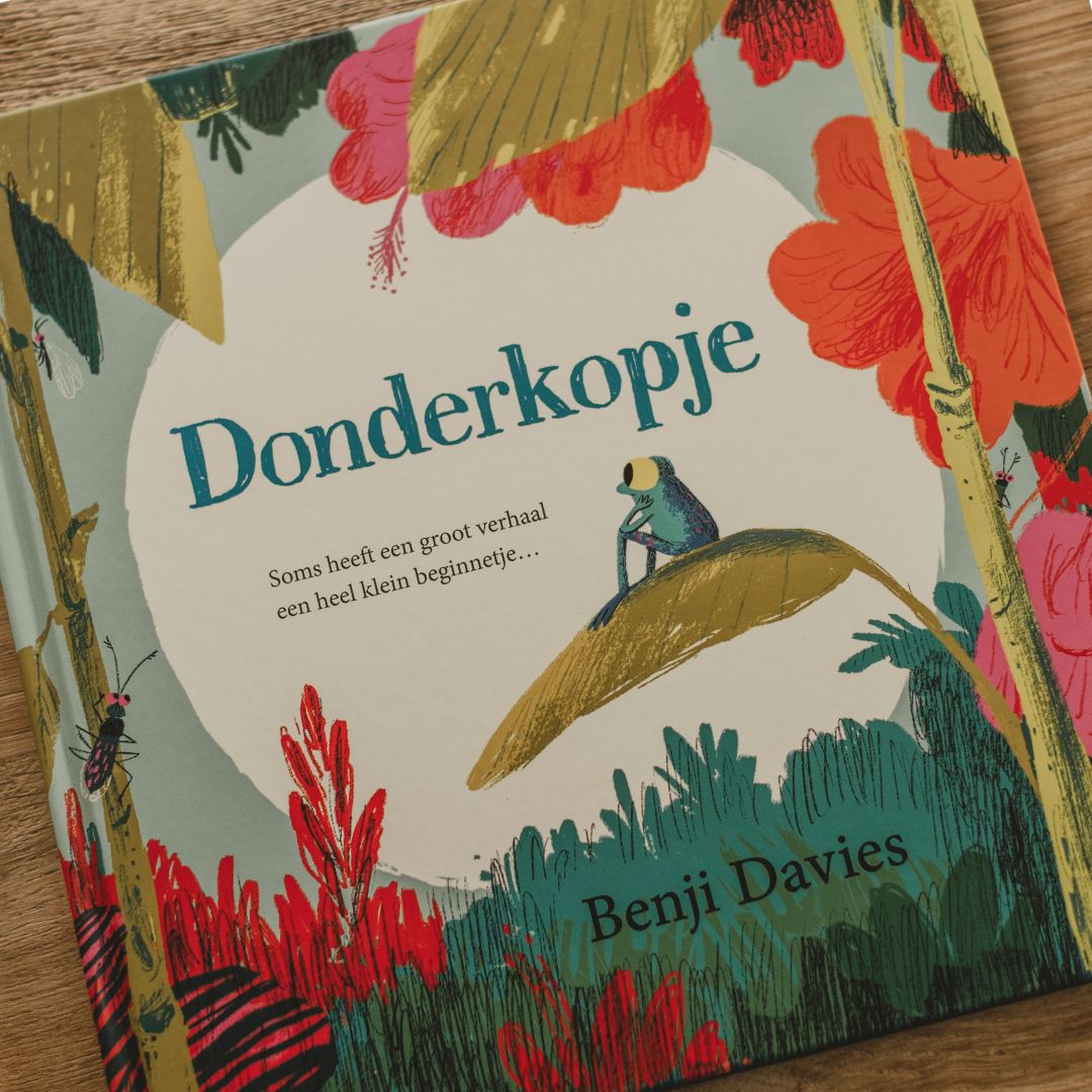 Uitgeverij Luitingh Sijthoff Donderkopje door Benji Davies