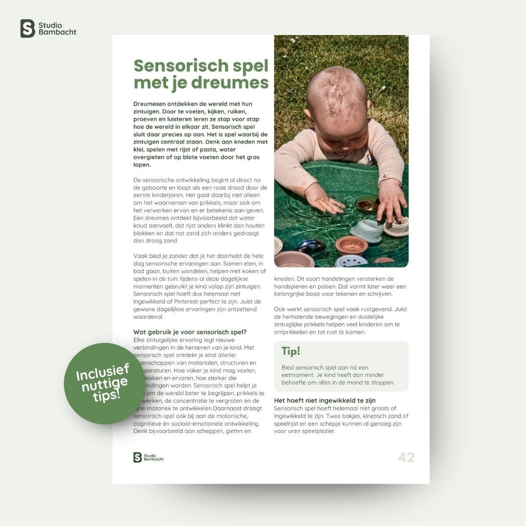 Pagina uit de dreumes speelgids van Studio Bambacht