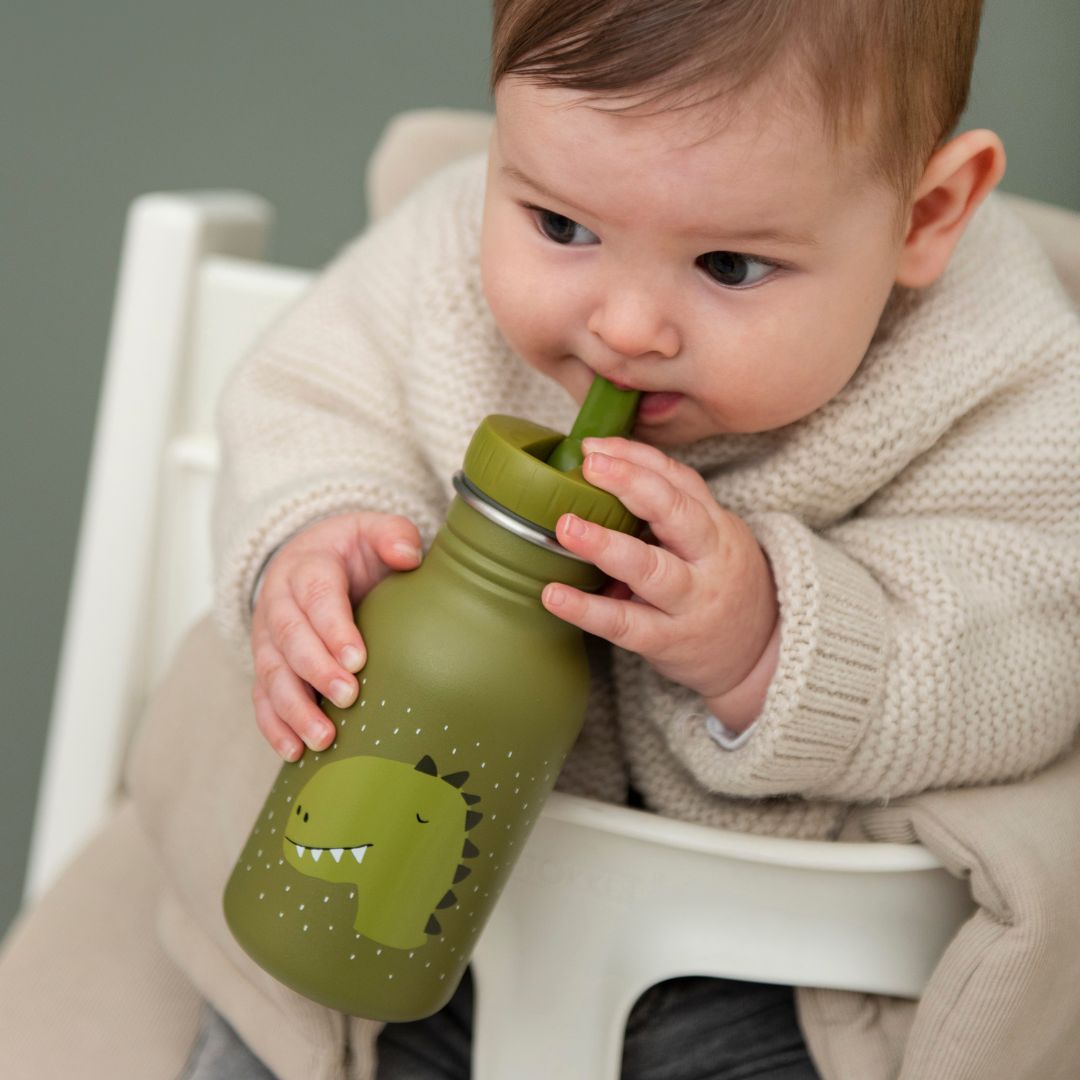 Trixie drinkfles dinosaurus