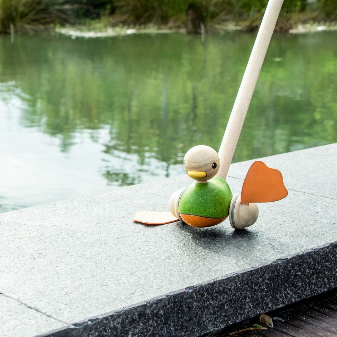 Duwstok eend van hout