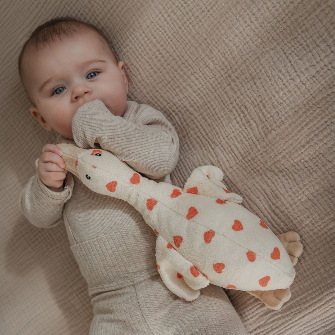 Flow Amsterdam oplaadbare hartslagknuffel gans Liva Limited Edition met hartjes