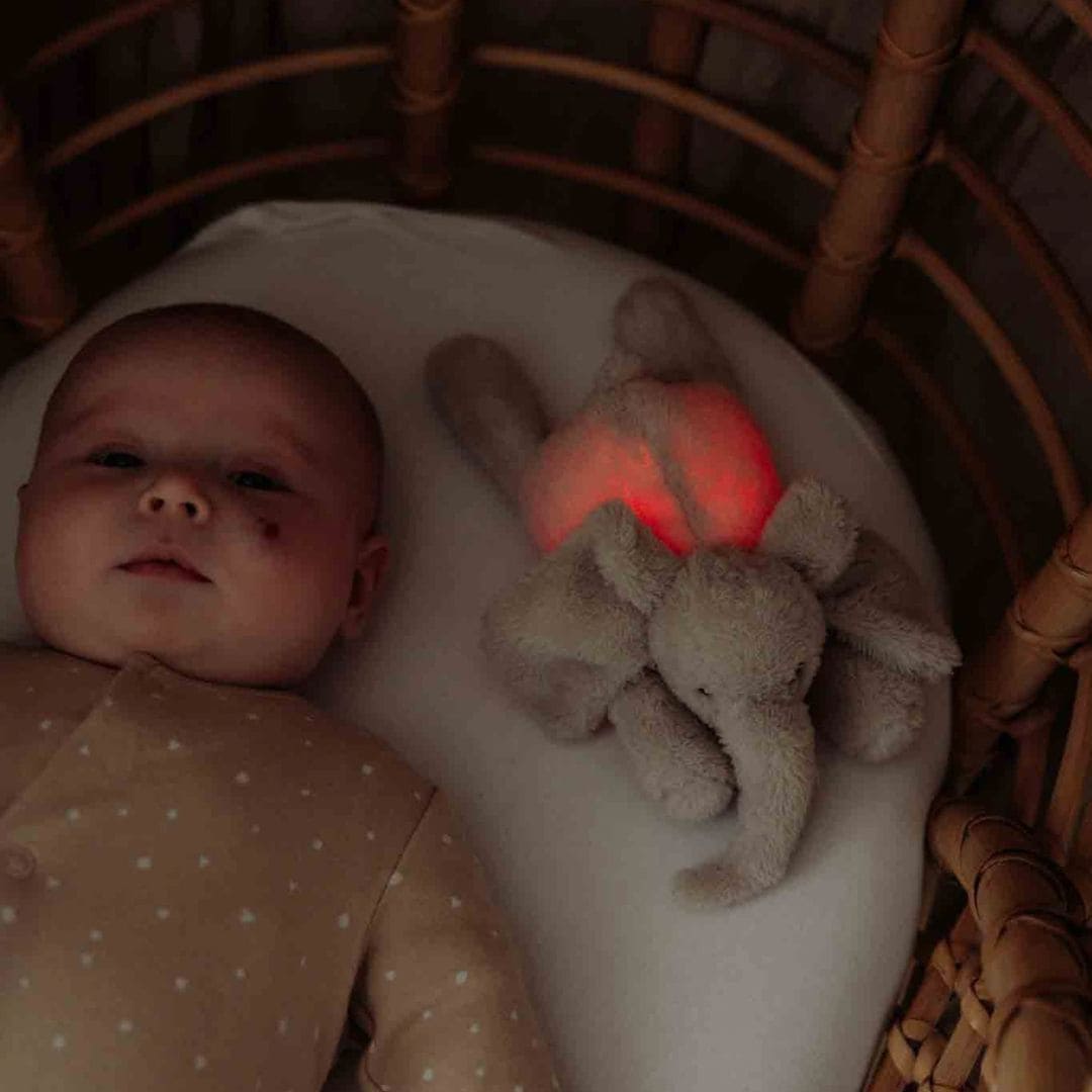 Flow Amsterdam nachtlamp olifant George met rood en geel licht