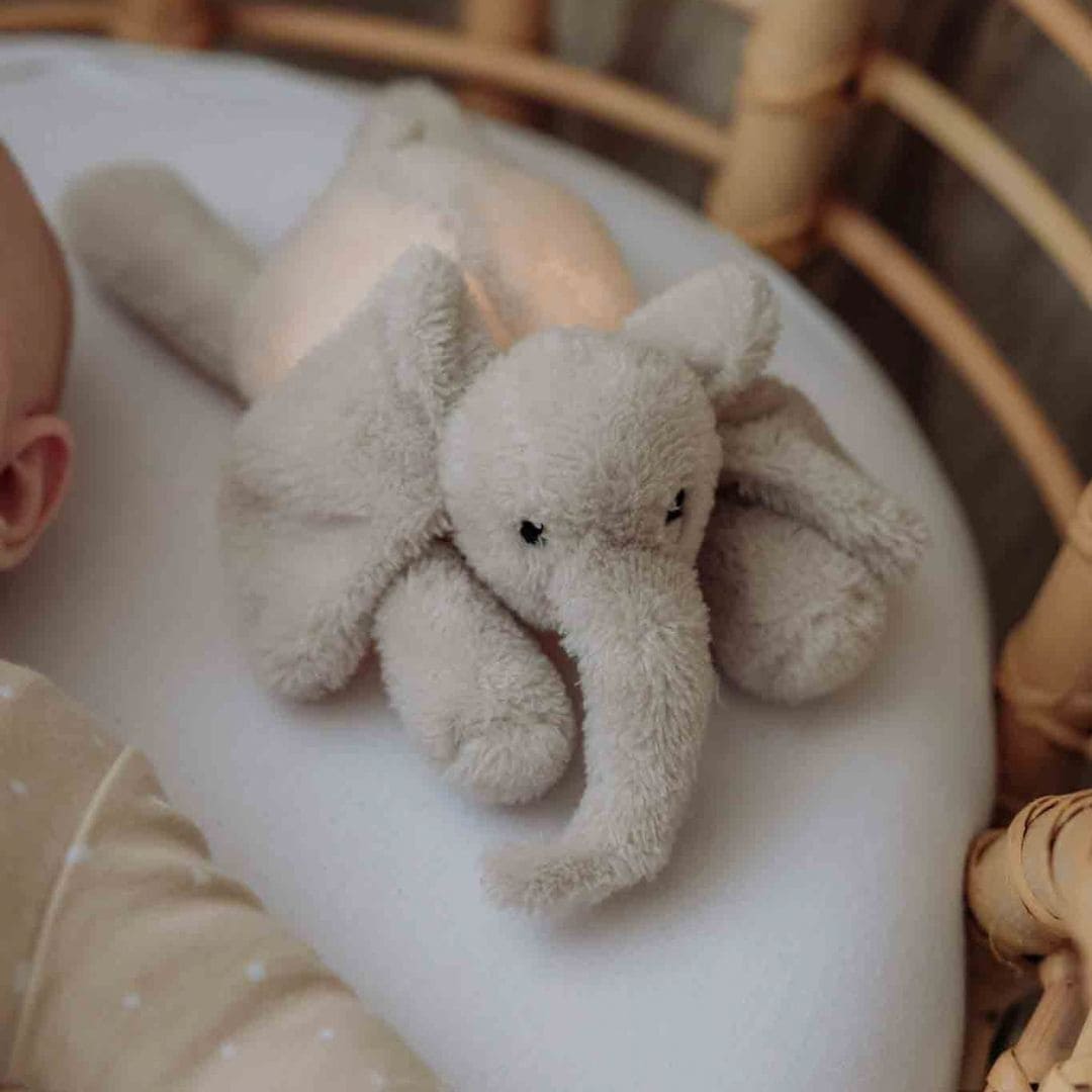Flow Amsterdam nachtlamp olifant George met rood en geel licht