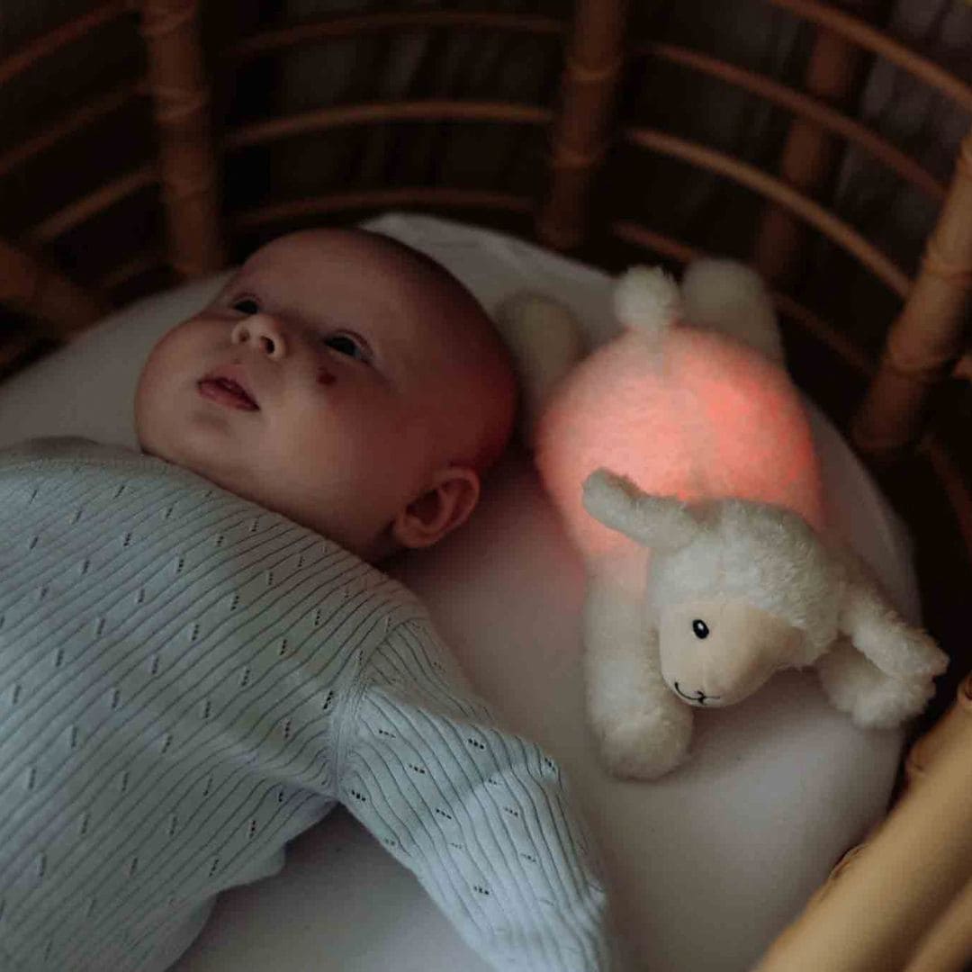 Flow Amsterdam nachtlamp schaap Rosie met rood en geel licht