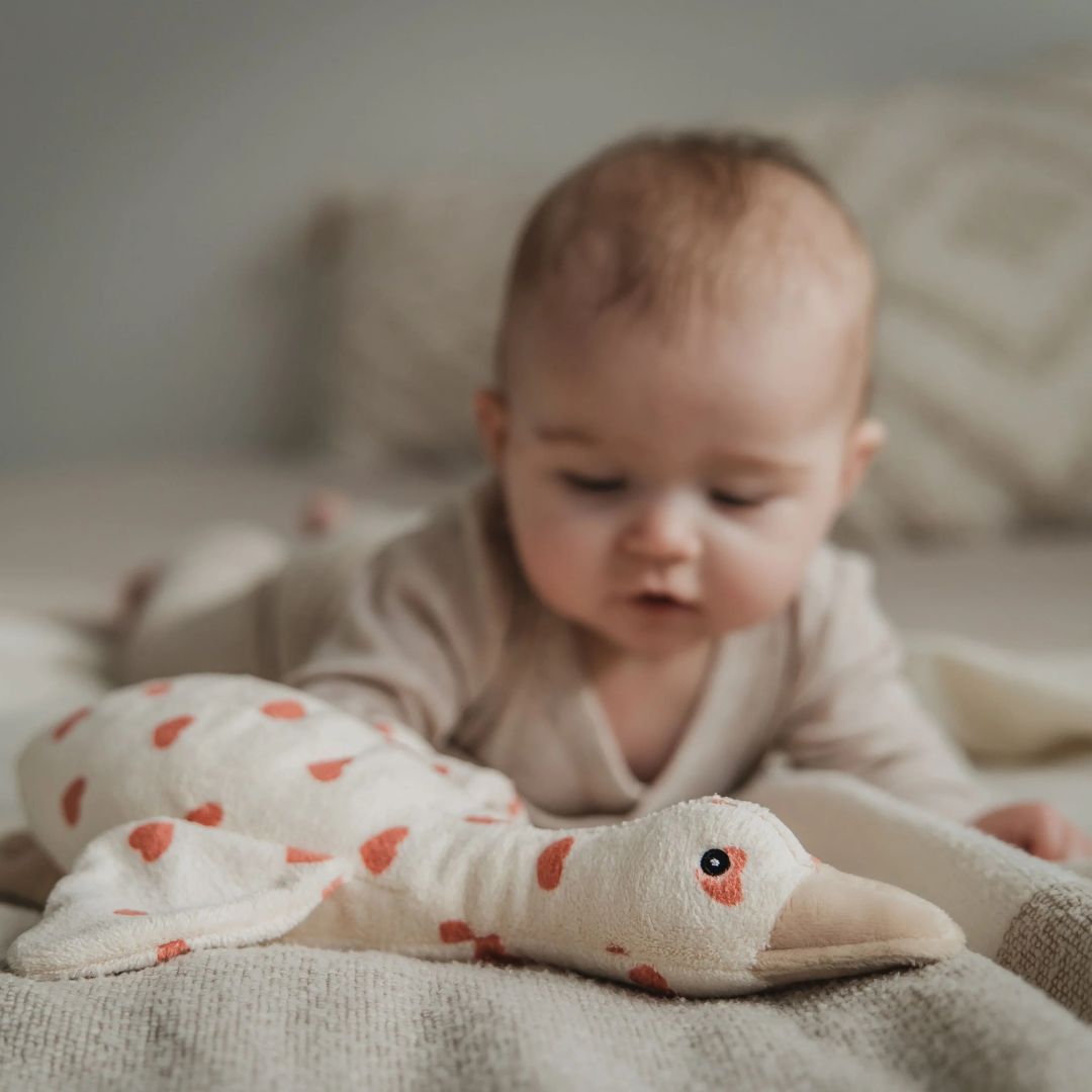 Flow Amsterdam oplaadbare hartslagknuffel gans Liva Limited Edition met hartjes