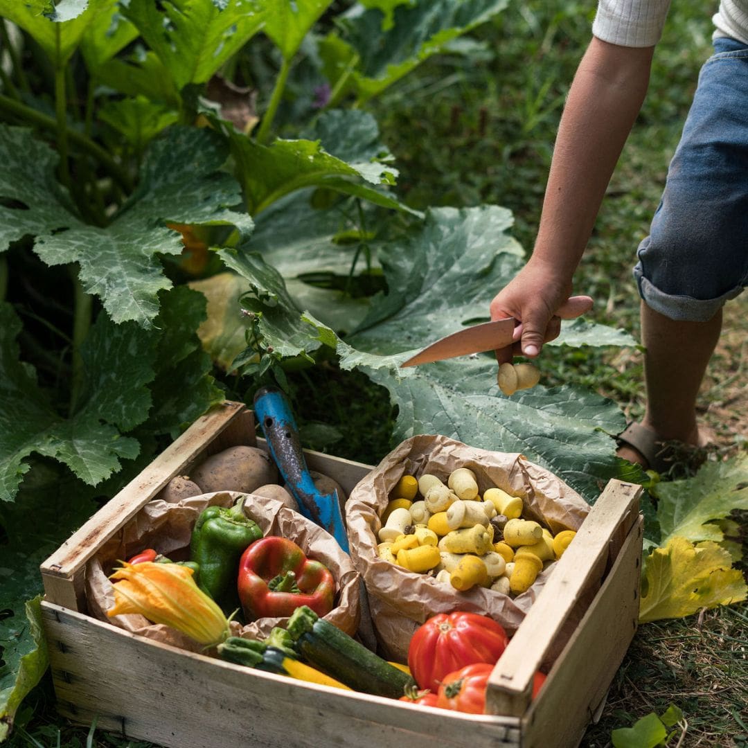 Grapat houten tulpjes - 36 stuks