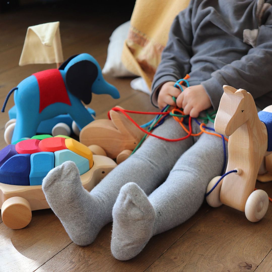 Grimms houten trekdier met schildpad en 10 houten blokken