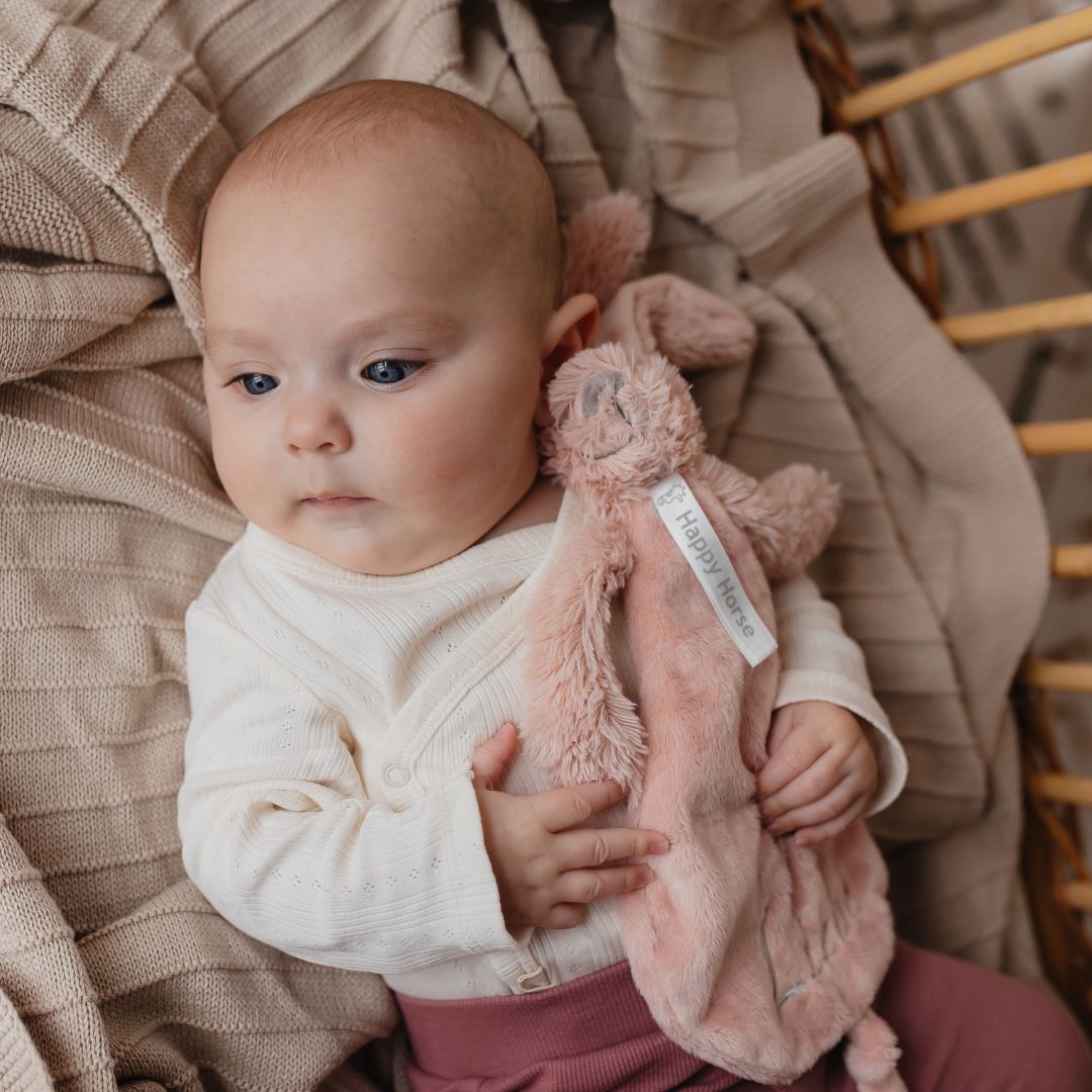 Happy Horse knuffeldoekje konijn Rabbit Richie met naam in de kleur oud roze