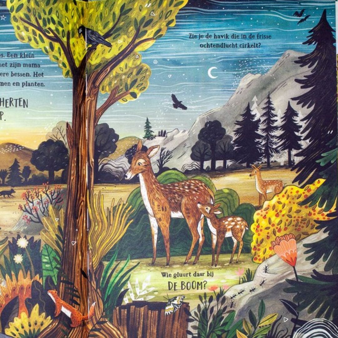 Zoekboek het geheime bos van auteur Sandra Dieckmann en uitgeverij Christofoor