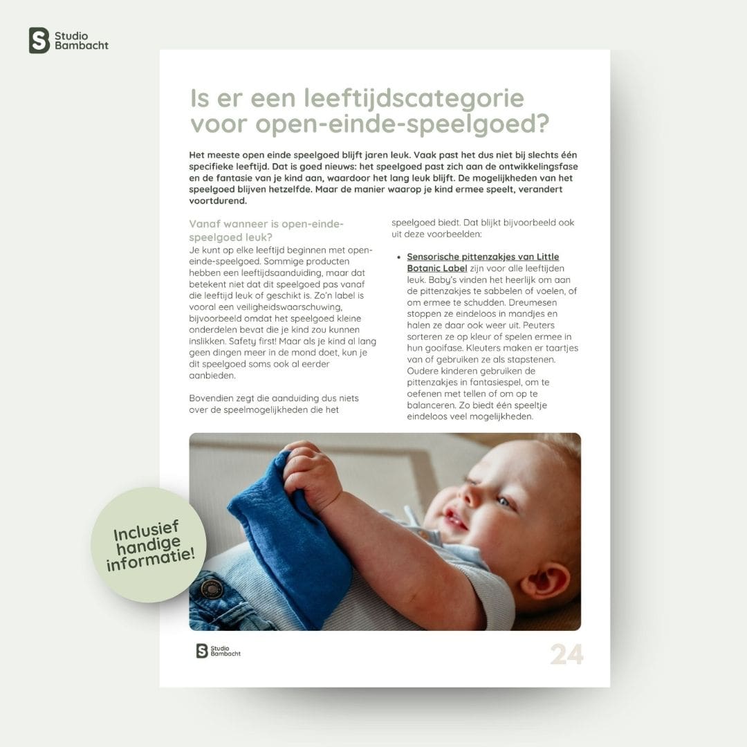 Het grote Studio Bambacht speelgoedboek | Gedrukt