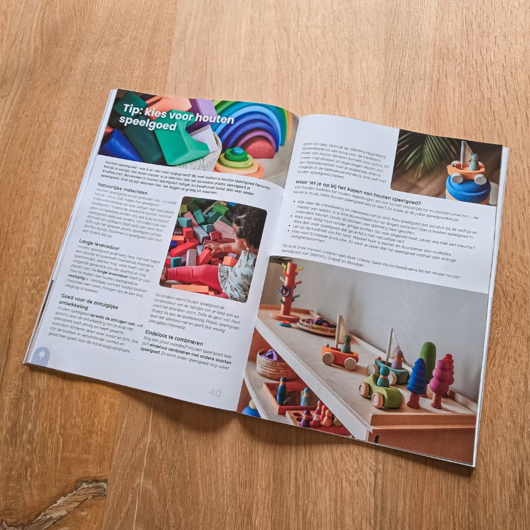 Het grote speelgoedboek van Studio Bambacht