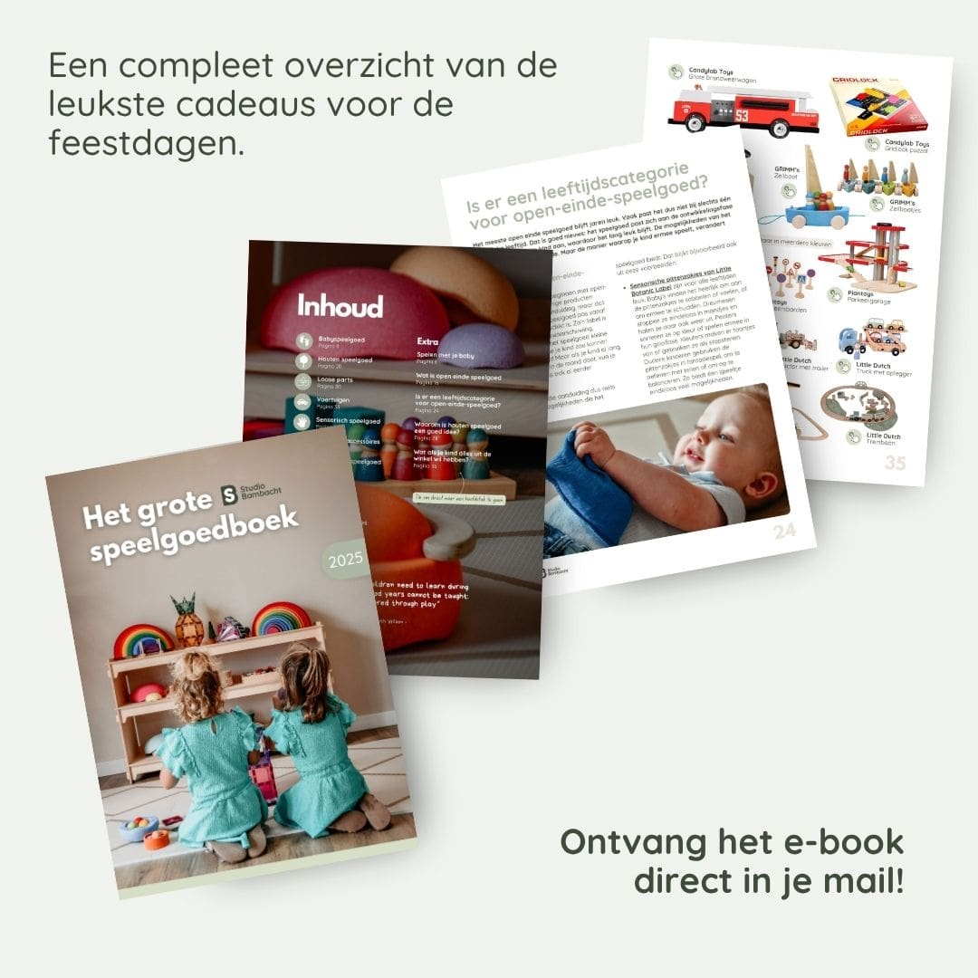 Het grote Studio Bambacht speelgoedboek | Gedrukt