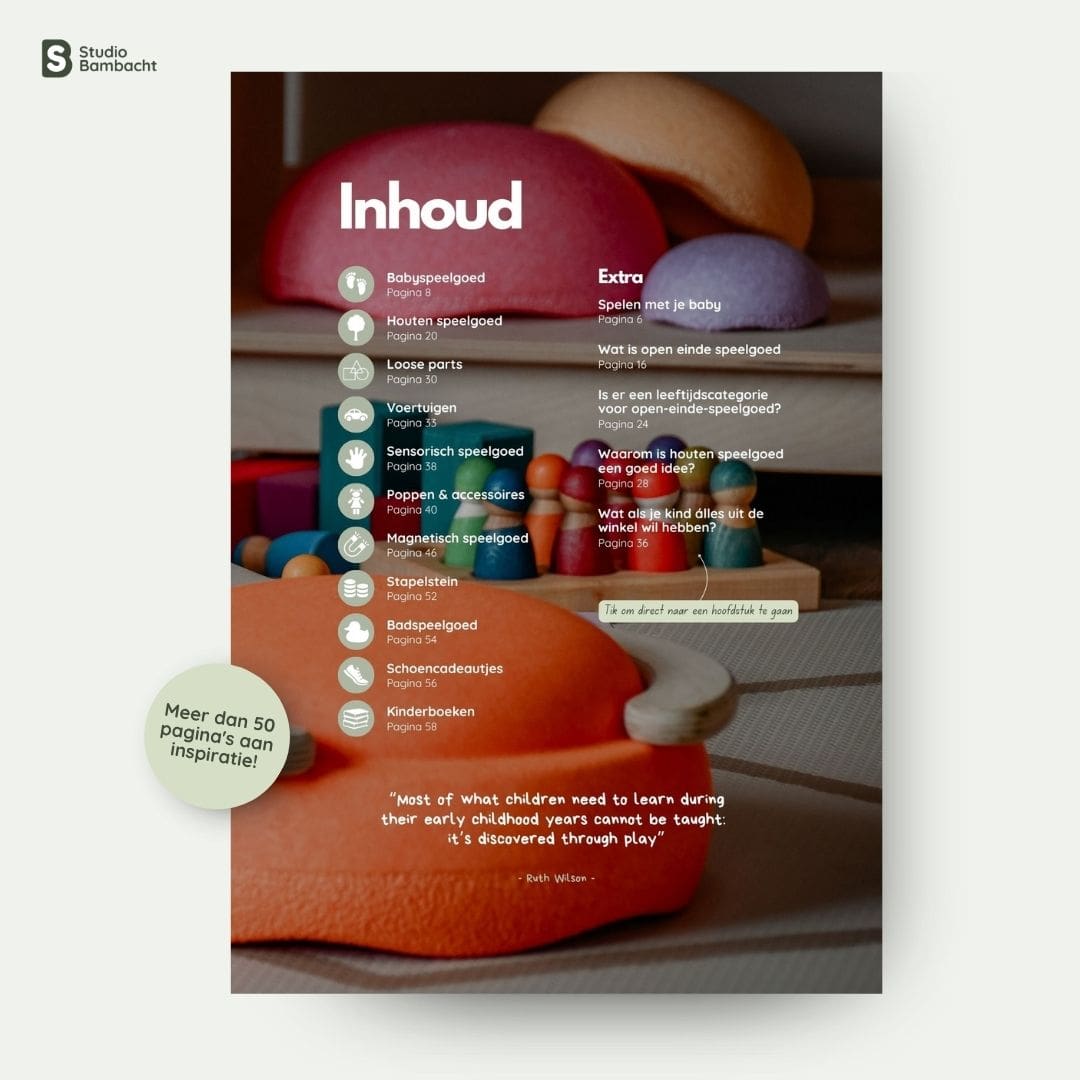 Het grote Studio Bambacht speelgoedboek | Gedrukt