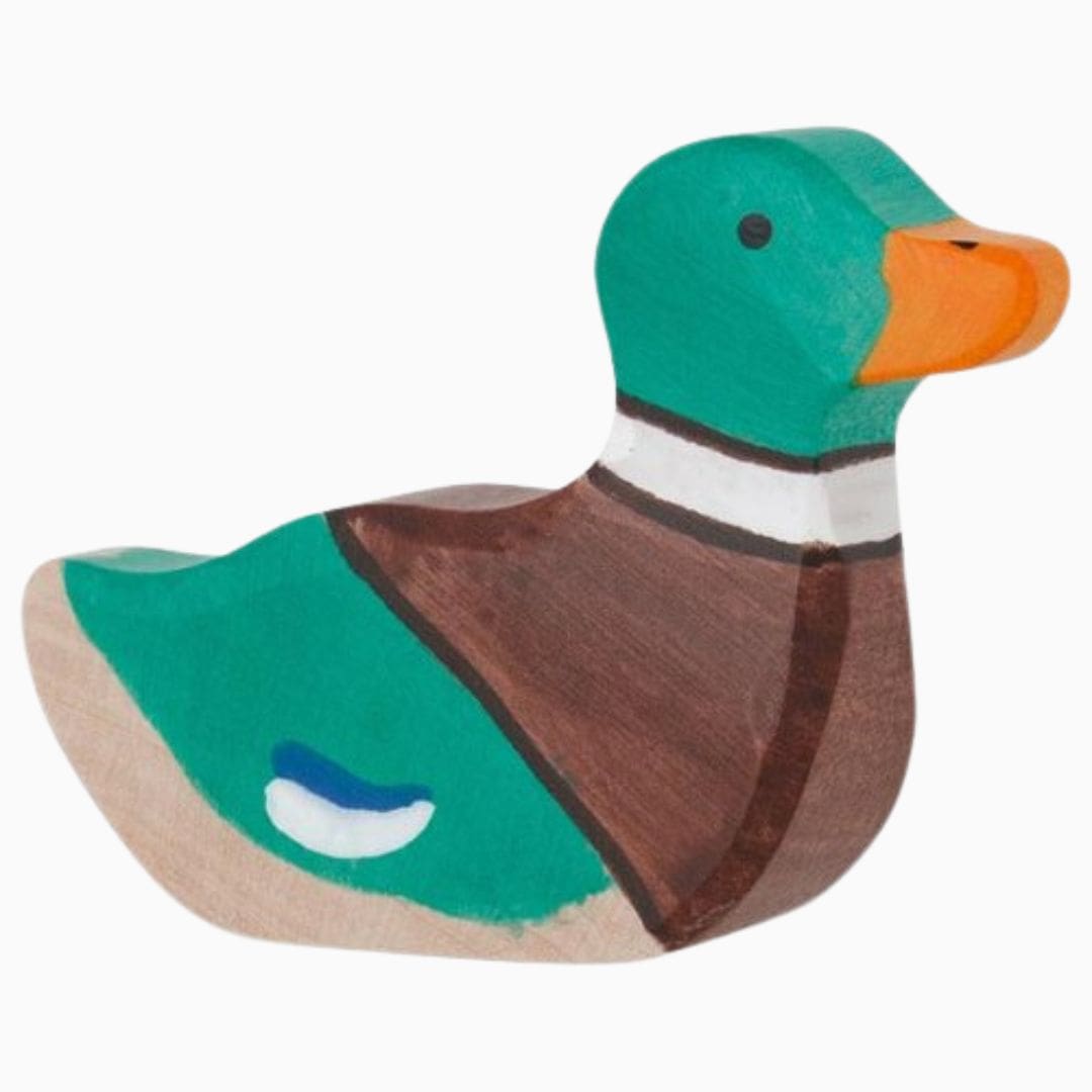 Holztiger houten mannetjes eend zwemmend