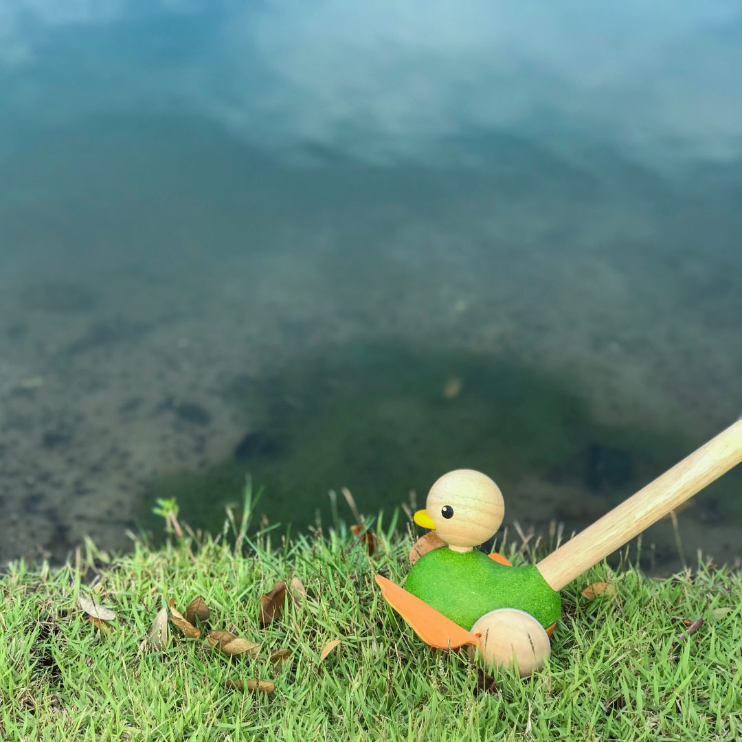 Houten eend duwstok looproller