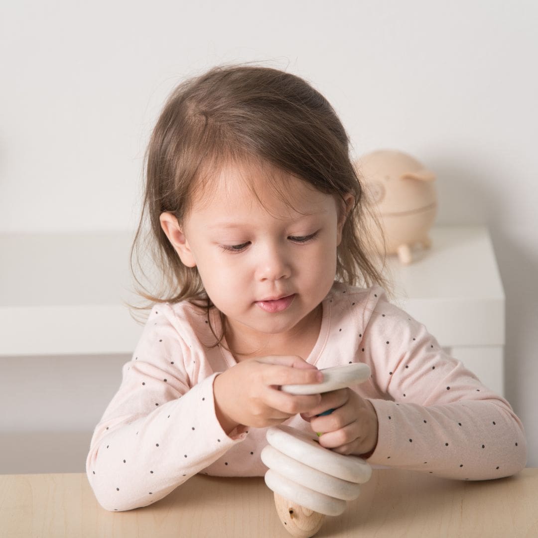 Plantoys houten schaap om te rijgen