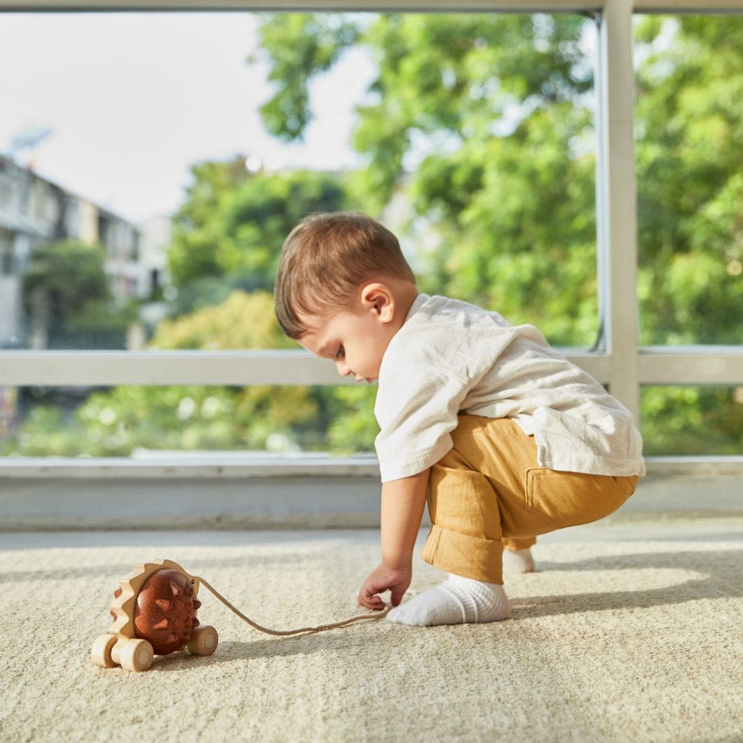 Plantoys houten trekdier egel