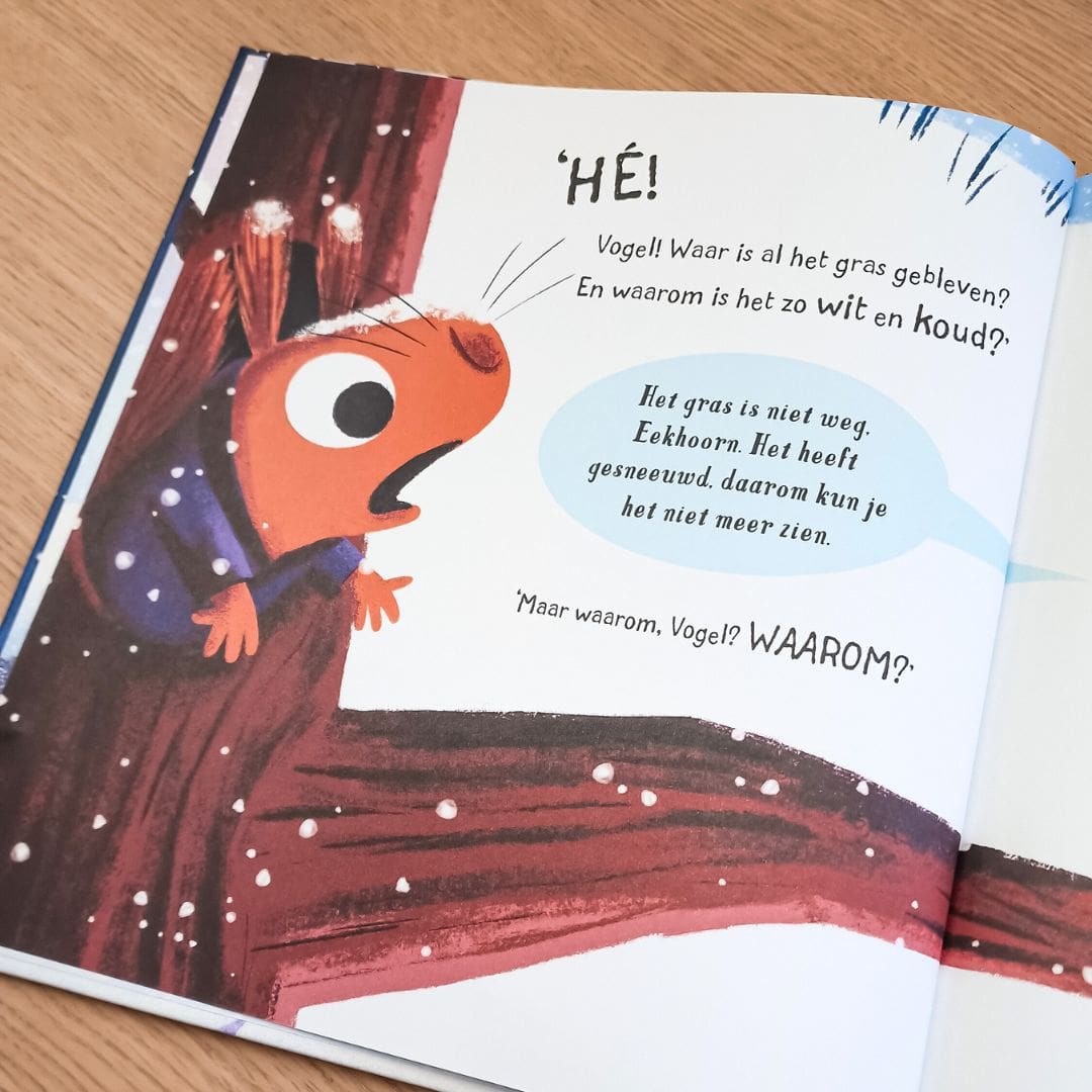 Prentenboek De sneeuwdief