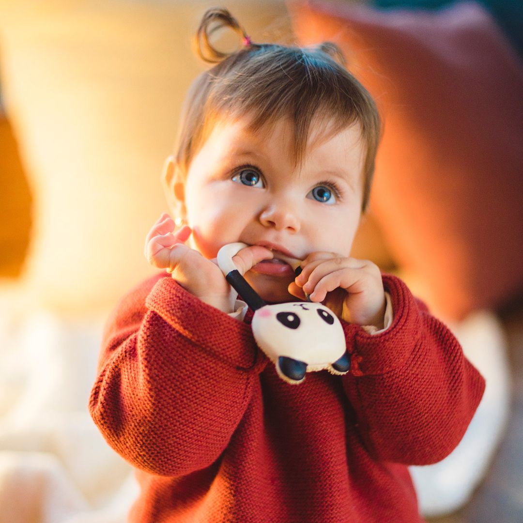 Lanco natuurrubber bijtring pandabeer kort in zwart wit