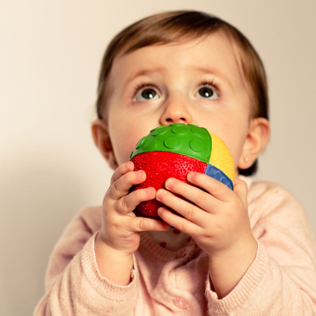 lanco sensorische bijtbal in primaire kleuren van natuurrubber