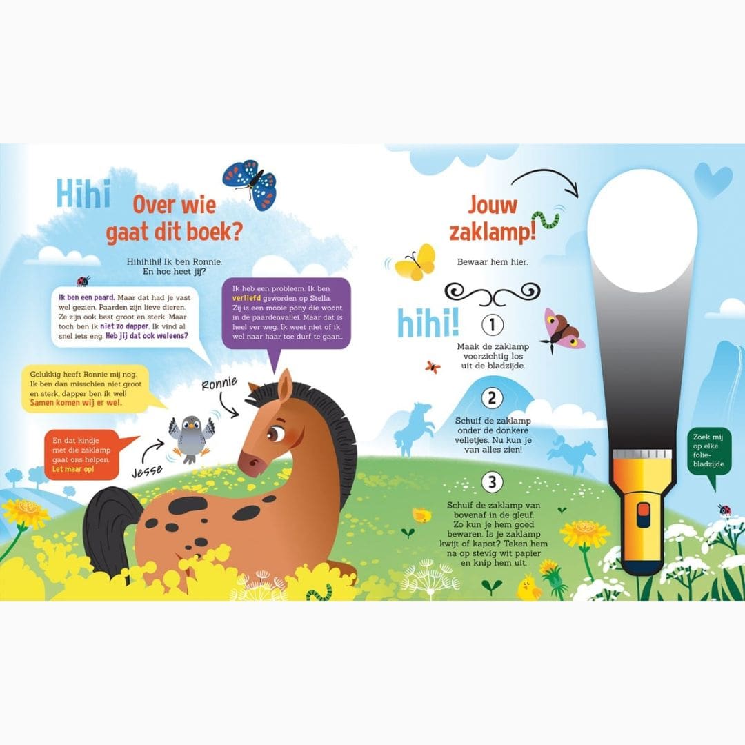 zoekboek met zaklamp speuren naar paarden van uitgeverij lantaarn publishers