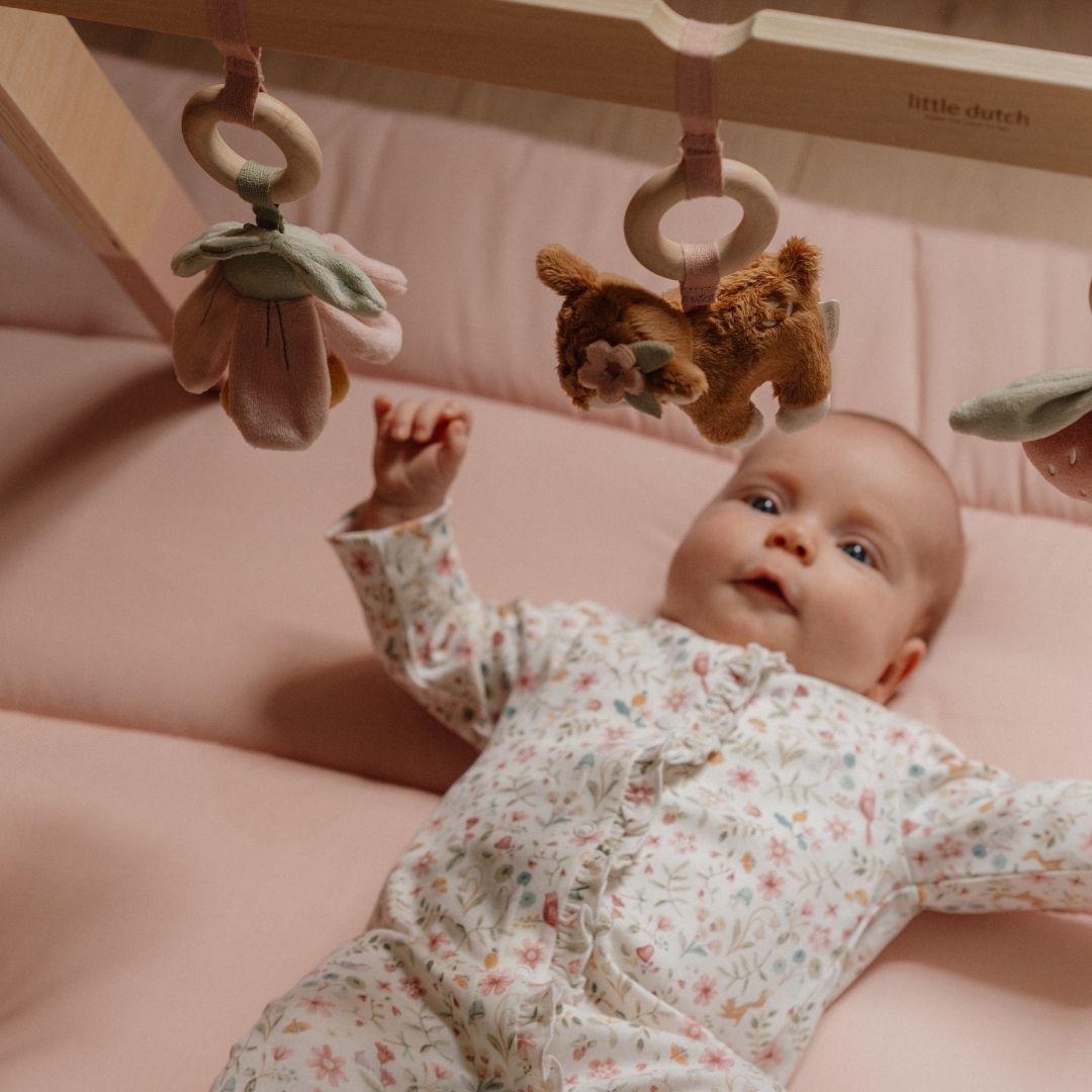 Little Dutch babygym Fairy Garden