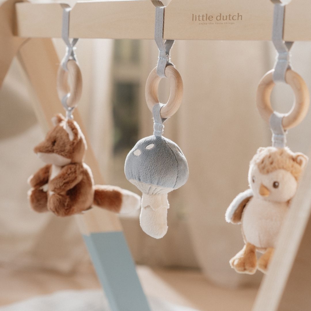 Little Dutch babygym Forest Friends